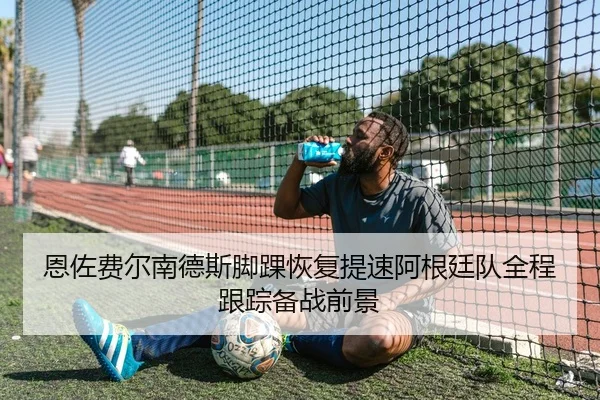 恩佐费尔南德斯脚踝恢复提速阿根廷队全程跟踪备战前景